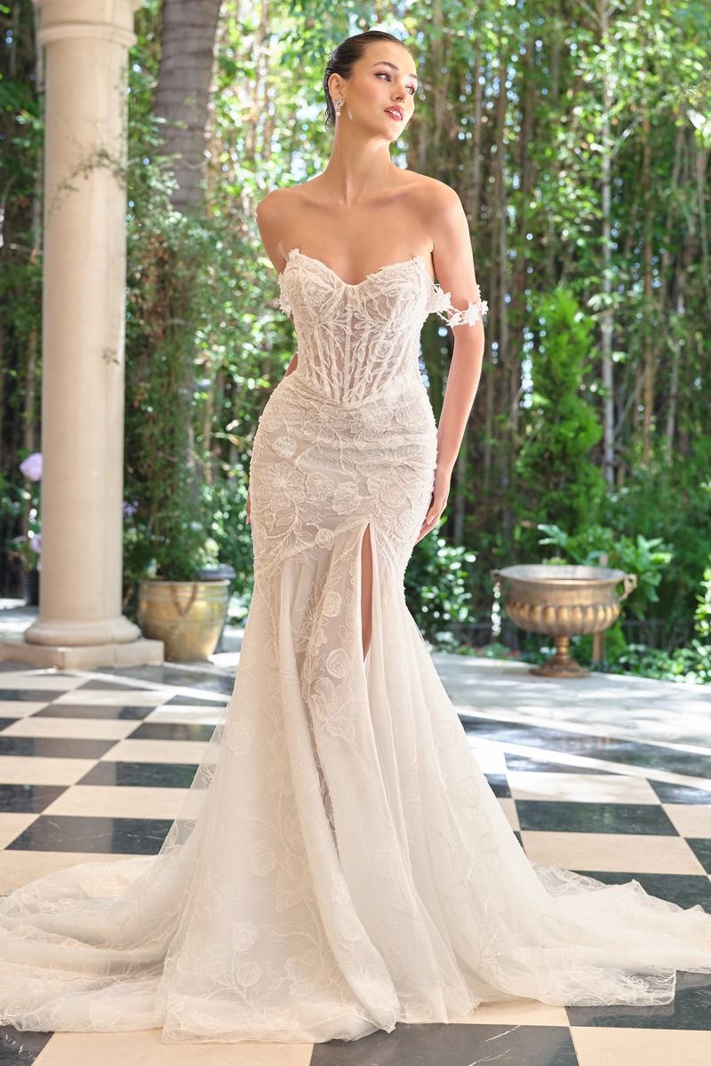 Off The Shoulder Wedding Tulle Gown w/ Corset Bodice & Sweep Train Skirt CDWL099 - Finanzasymercado